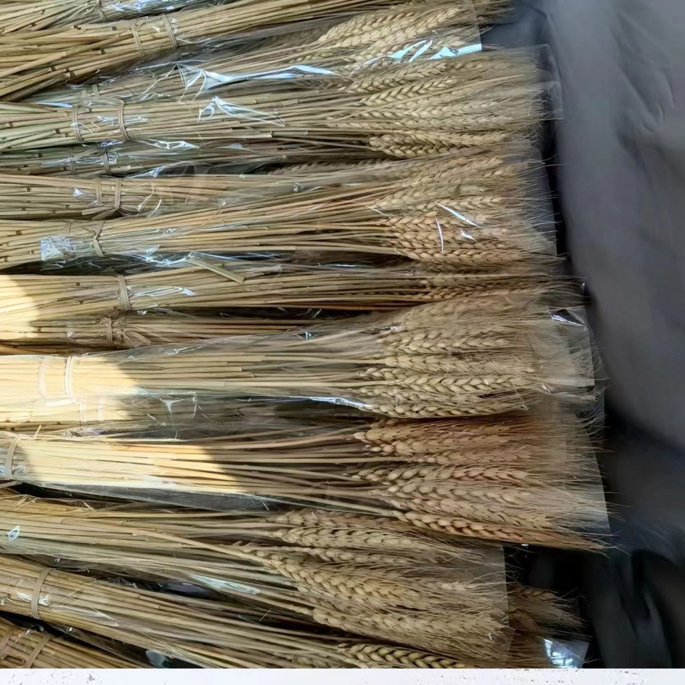 50pcs Bunga Buatan Batang Gand - Wedding Ceremony Supply ulasan dan harga